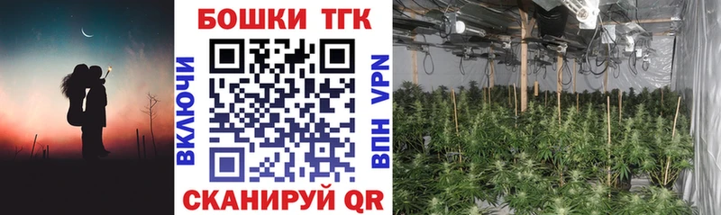 Бошки марихуана план  где продают наркотики  Пикалёво 